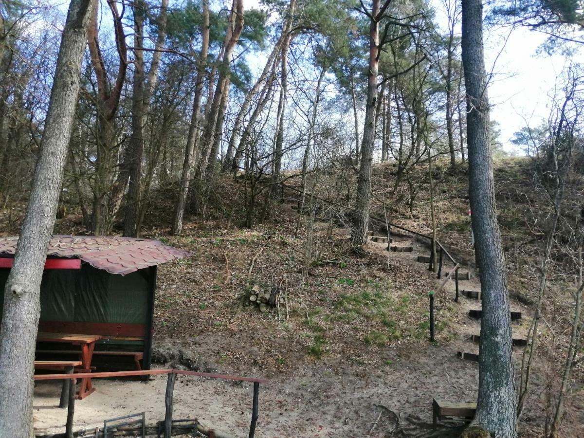 Domki Nad Jeziorem Dąbrówno Εξωτερικό φωτογραφία